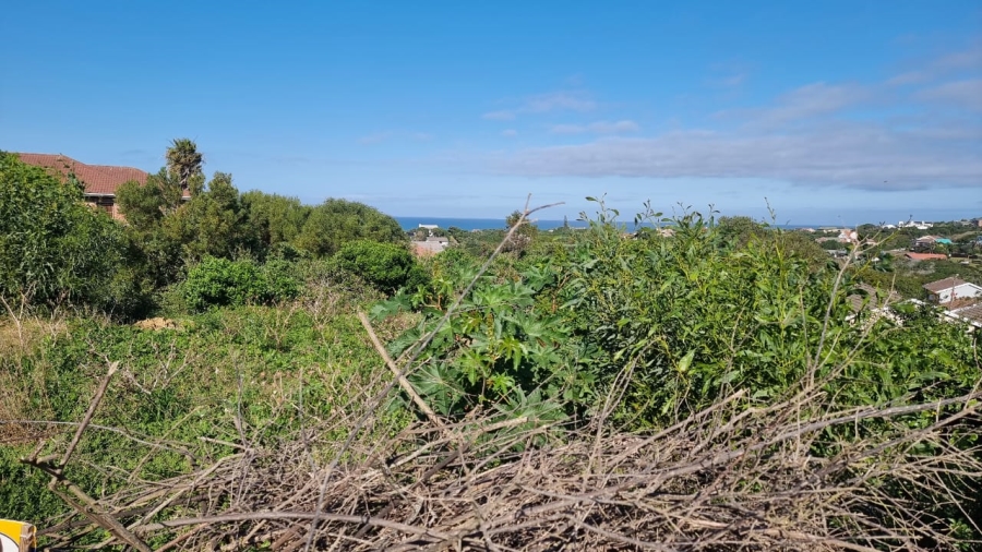 0 Bedroom Property for Sale in Forest Downs Eastern Cape